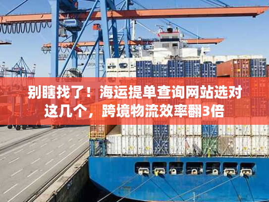 别瞎找了！海运提单查询网站选对这几个，跨境物流效率翻3倍