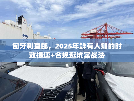 匈牙利直邮,2025年鲜有人知的时效提速+合规避坑实战法 匈牙利直邮,2025年鲜有人知的时效提速+合规避坑实战法