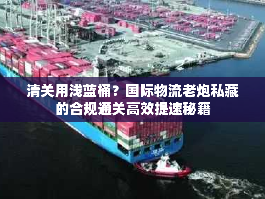 清关用浅蓝桶?国际物流老炮私藏的合规通关高效提速秘籍 清关用浅蓝桶?国际物流老炮私藏的合规通关高效提速秘籍