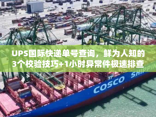UPS国际快递单号查询，鲜为人知的3个校验技巧+1小时异常件极速排查