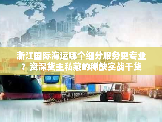 浙江国际海运哪个细分服务更专业？资深货主私藏的稀缺实战干货