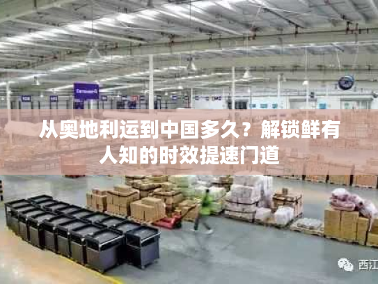 从奥地利运到中国多久？解锁鲜有人知的时效提速门道