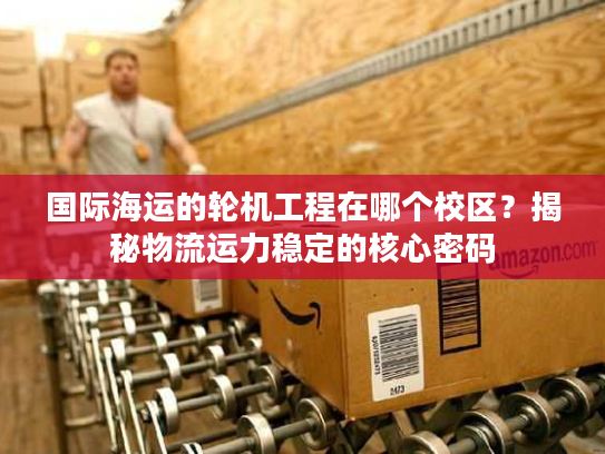 国际海运的轮机工程在哪个校区？揭秘物流运力稳定的核心密码