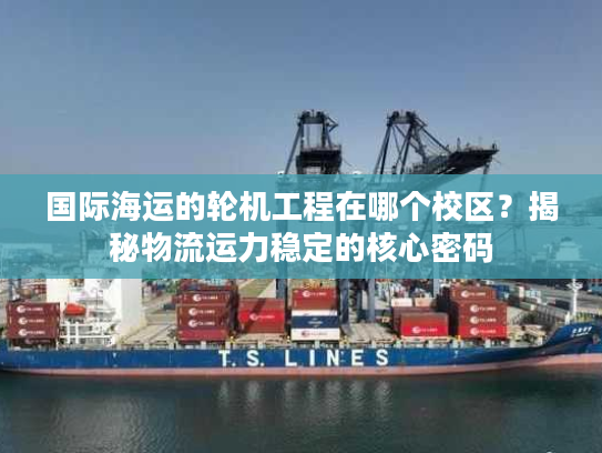 国际海运的轮机工程在哪个校区？揭秘物流运力稳定的核心密码