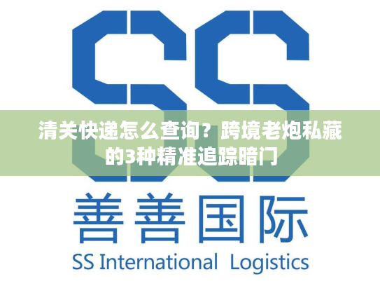 清关快递怎么查询？跨境老炮私藏的3种精准追踪暗门