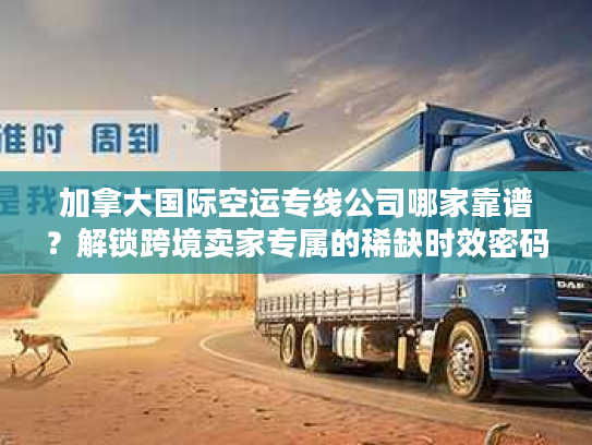 加拿大国际空运专线公司哪家靠谱？解锁跨境卖家专属的稀缺时效密码