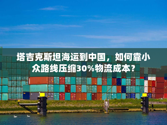 塔吉克斯坦海运到中国，如何靠小众路线压缩30%物流成本？