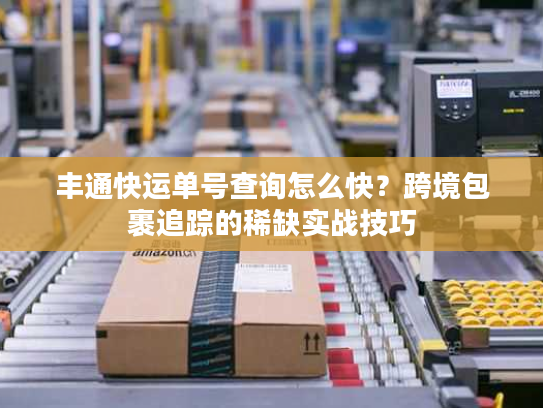 丰通快运单号查询怎么快?跨境包裹追踪的稀缺实战技巧 丰通快运单号查询怎么快?跨境包裹追踪的稀缺实战技巧
