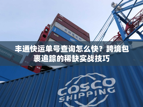 丰通快运单号查询怎么快?跨境包裹追踪的稀缺实战技巧 丰通快运单号查询怎么快?跨境包裹追踪的稀缺实战技巧