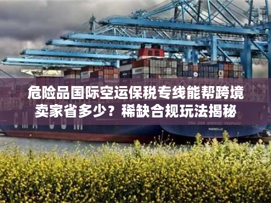 危险品国际空运保税专线能帮跨境卖家省多少？稀缺合规玩法揭秘