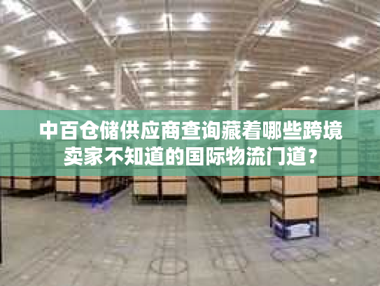 中百仓储供应商查询藏着哪些跨境卖家不知道的国际物流门道？