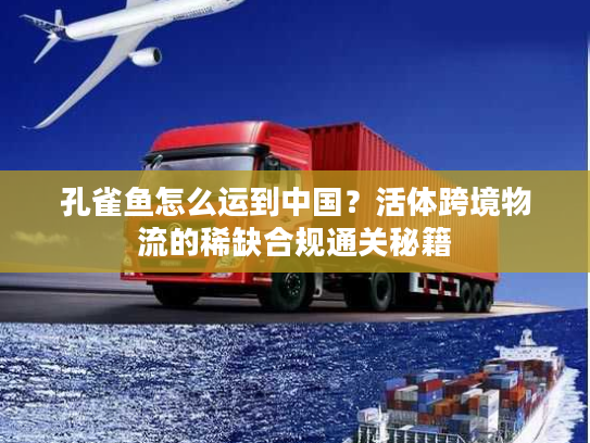 孔雀鱼怎么运到中国?活体跨境物流的稀缺合规通关秘籍 孔雀鱼怎么运到中国?活体跨境物流的稀缺合规通关秘籍