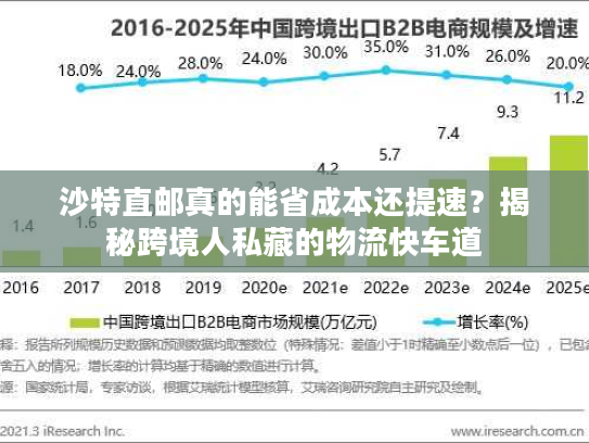 沙特直邮真的能省成本还提速?揭秘跨境人私藏的物流快车道 沙特直邮真的能省成本还提速?揭秘跨境人私藏的物流快车道
