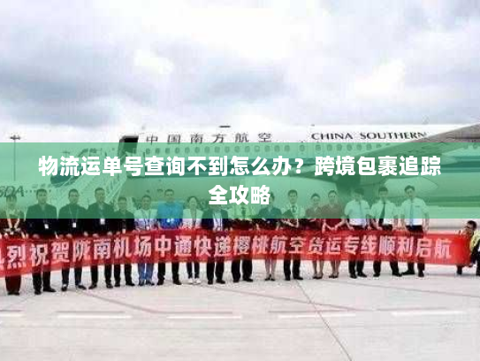 物流运单号查询不到怎么办?跨境包裹追踪全攻略 物流运单号查询不到怎么办?跨境包裹追踪全攻略