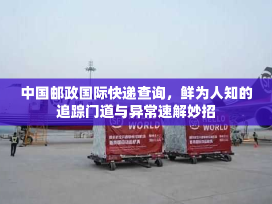 中国邮政国际快递查询，鲜为人知的追踪门道与异常速解妙招