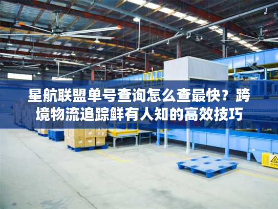 星航联盟单号查询怎么查最快？跨境物流追踪鲜有人知的高效技巧