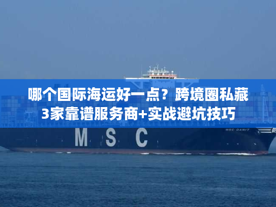 哪个国际海运好一点？跨境圈私藏3家靠谱服务商+实战避坑技巧