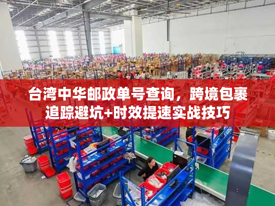 台湾中华邮政单号查询，跨境包裹追踪避坑+时效提速实战技巧