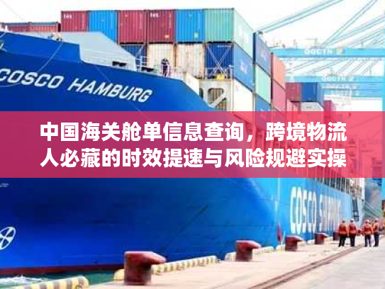 中国海关舱单信息查询,跨境物流人必藏的时效提速与风险规避实操技巧 中国海关舱单信息查询,跨境物流人必藏的时效提速与风险规避实操技巧