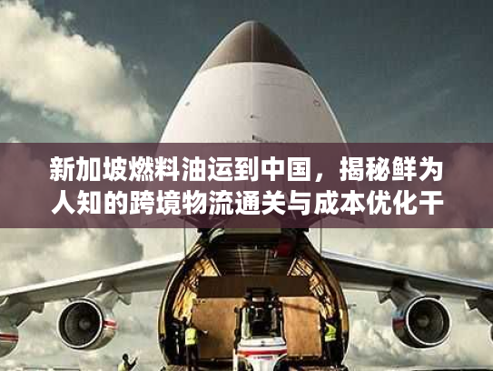 新加坡燃料油运到中国，揭秘鲜为人知的跨境物流通关与成本优化干货