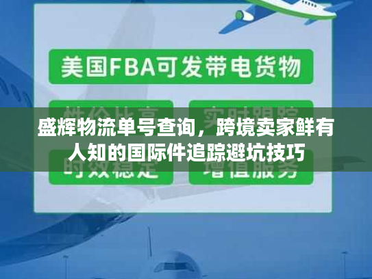 盛辉物流单号查询，跨境卖家鲜有人知的国际件追踪避坑技巧