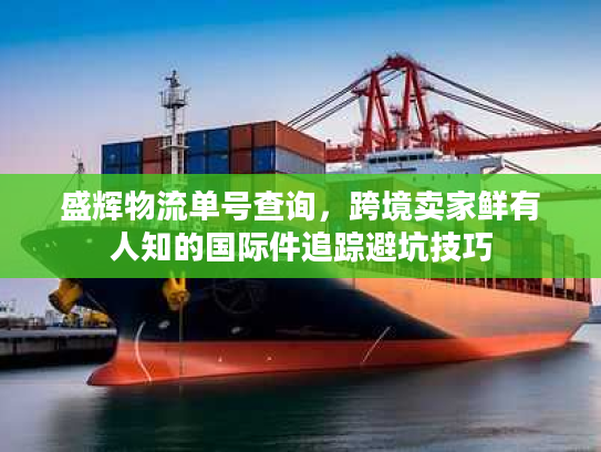 盛辉物流单号查询，跨境卖家鲜有人知的国际件追踪避坑技巧