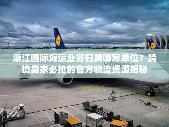 浙江国际海运业务归属哪家单位？跨境卖家必抢的官方物流资源揭秘