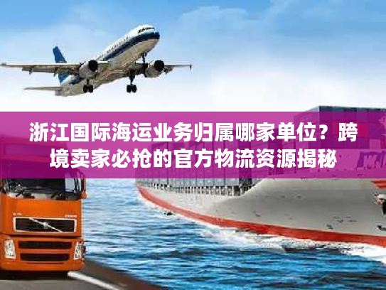 浙江国际海运业务归属哪家单位？跨境卖家必抢的官方物流资源揭秘