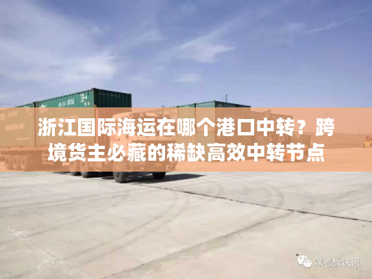 浙江国际海运在哪个港口中转？跨境货主必藏的稀缺高效中转节点