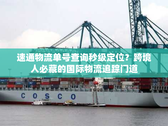 速通物流单号查询秒级定位？跨境人必藏的国际物流追踪门道