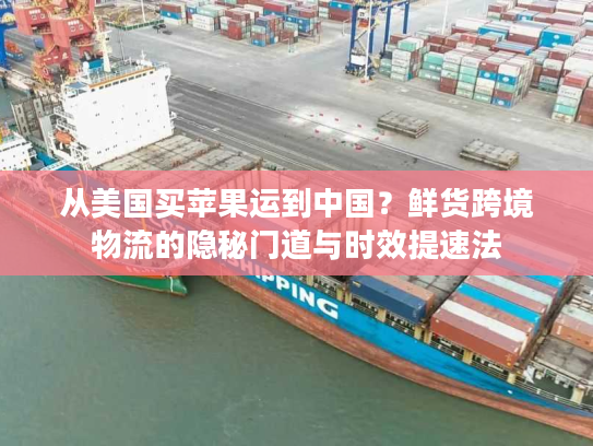 从美国买苹果运到中国？鲜货跨境物流的隐秘门道与时效提速法