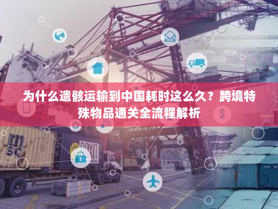 为什么遗骸运输到中国耗时这么久?跨境特殊物品通关全流程解析 为什么遗骸运输到中国耗时这么久?跨境特殊物品通关全流程解析