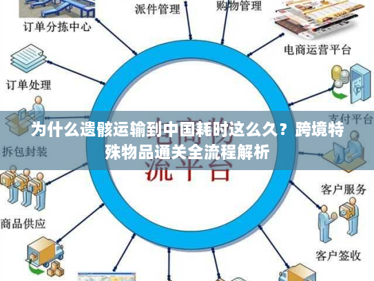 为什么遗骸运输到中国耗时这么久?跨境特殊物品通关全流程解析 为什么遗骸运输到中国耗时这么久?跨境特殊物品通关全流程解析