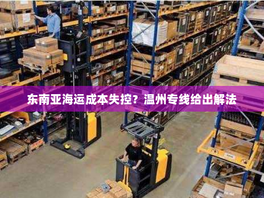 东南亚海运成本失控？温州专线给出解法