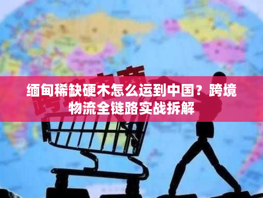 缅甸稀缺硬木怎么运到中国?跨境物流全链路实战拆解 缅甸稀缺硬木怎么运到中国?跨境物流全链路实战拆解