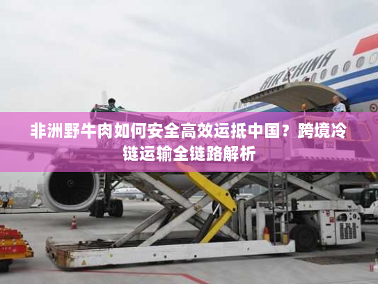 非洲野牛肉如何安全高效运抵中国？跨境冷链运输全链路解析