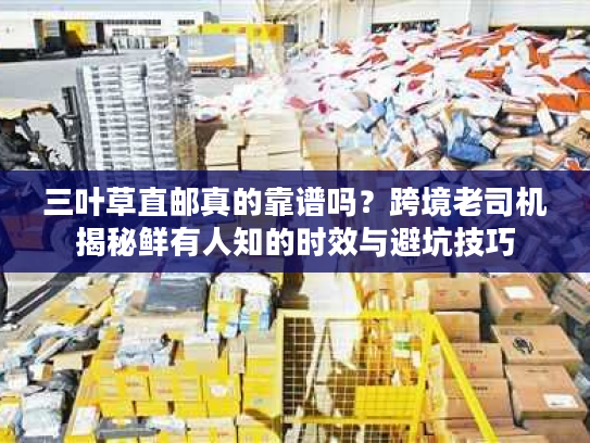 三叶草直邮真的靠谱吗？跨境老司机揭秘鲜有人知的时效与避坑技巧