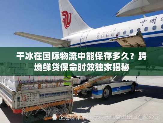 干冰在国际物流中能保存多久？跨境鲜货保命时效独家揭秘