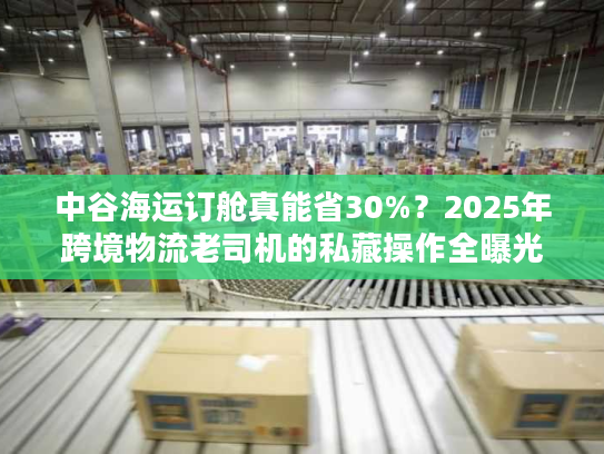 中谷海运订舱真能省30%?2025年跨境物流老司机的私藏操作全曝光 中谷海运订舱真能省30%?2025年跨境物流老司机的私藏操作全曝光