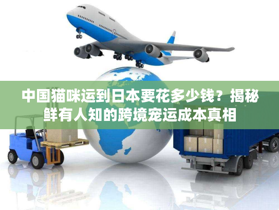 中国猫咪运到日本要花多少钱?揭秘鲜有人知的跨境宠运成本真相 中国猫咪运到日本要花多少钱?揭秘鲜有人知的跨境宠运成本真相