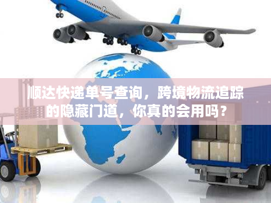 顺达快递单号查询，跨境物流追踪的隐藏门道，你真的会用吗？