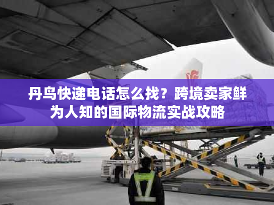 丹鸟快递电话怎么找？跨境卖家鲜为人知的国际物流实战攻略