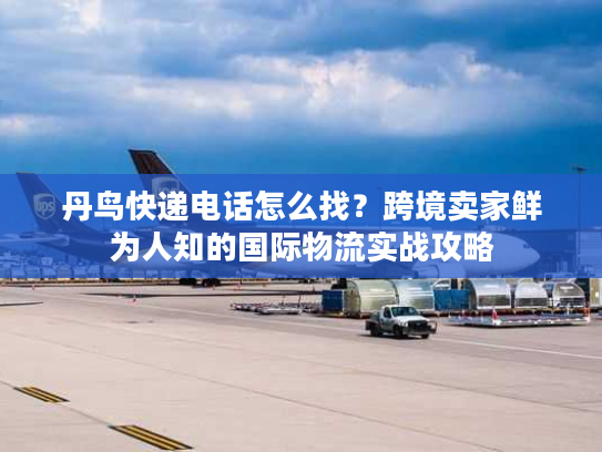 丹鸟快递电话怎么找？跨境卖家鲜为人知的国际物流实战攻略