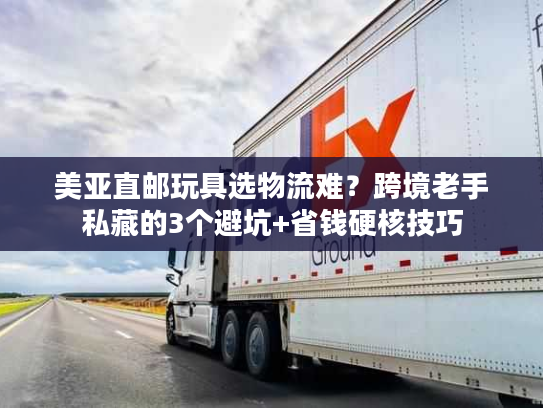 美亚直邮玩具选物流难？跨境老手私藏的3个避坑+省钱硬核技巧