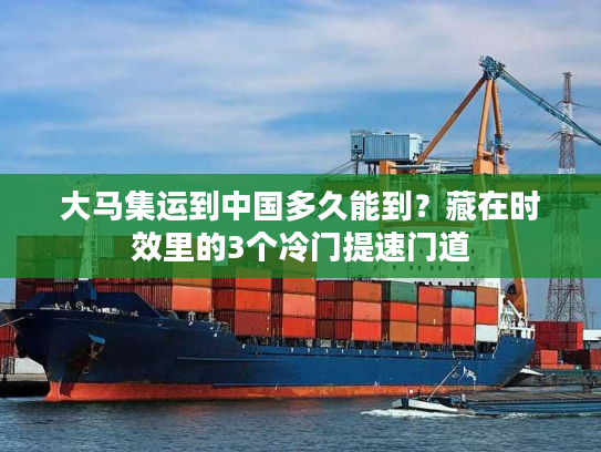 大马集运到中国多久能到？藏在时效里的3个冷门提速门道