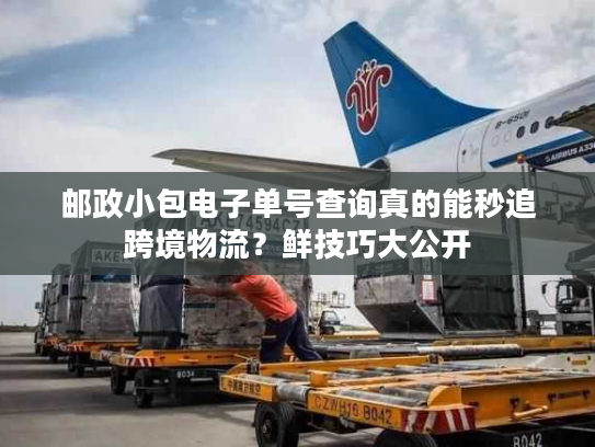 邮政小包电子单号查询真的能秒追跨境物流？鲜技巧大公开