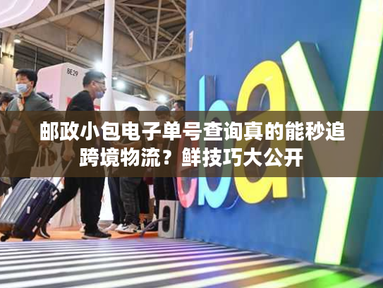 邮政小包电子单号查询真的能秒追跨境物流？鲜技巧大公开