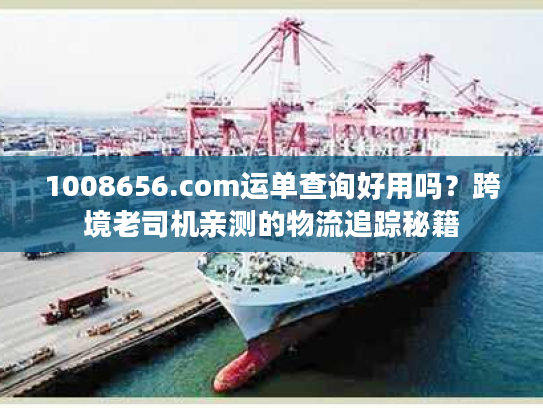 1008656.com运单查询好用吗？跨境老司机亲测的物流追踪秘籍