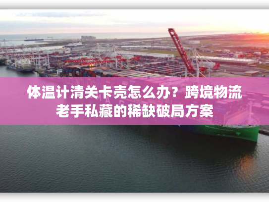 体温计清关卡壳怎么办？跨境物流老手私藏的稀缺破局方案