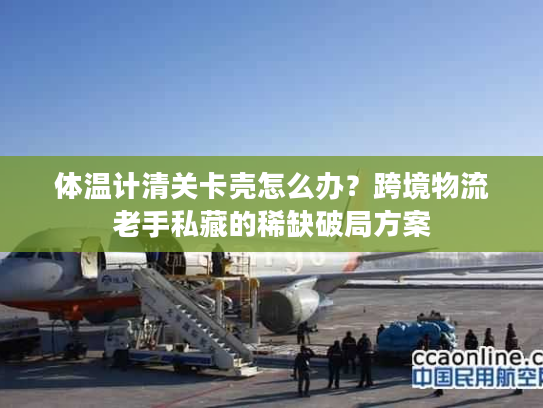 体温计清关卡壳怎么办？跨境物流老手私藏的稀缺破局方案